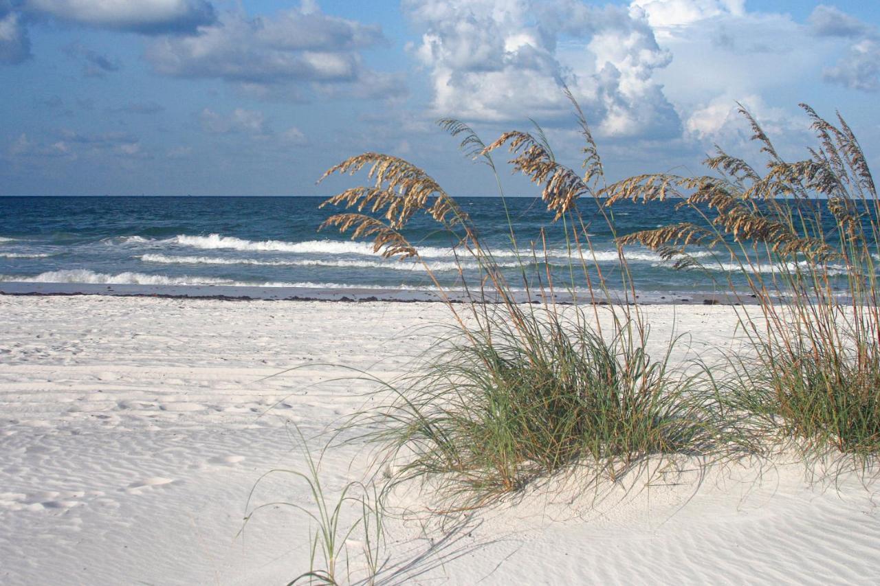 The Palm Condos St. Pete Beach Luaran gambar